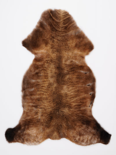 Flerfärgat fårskinn XL