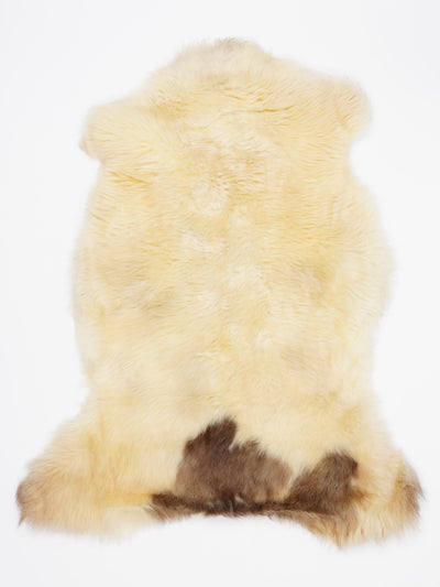 Įvairiaspalvis avikailis L