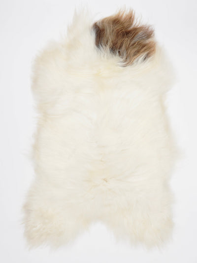 Islandiškas avikailis L