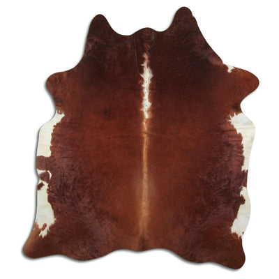 Brun kohud XL