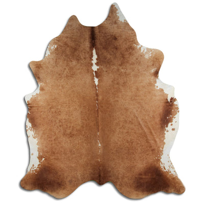 Brun kohud XXL