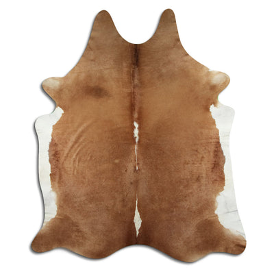 Brun kohud XXL