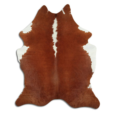 Brun kohud XL