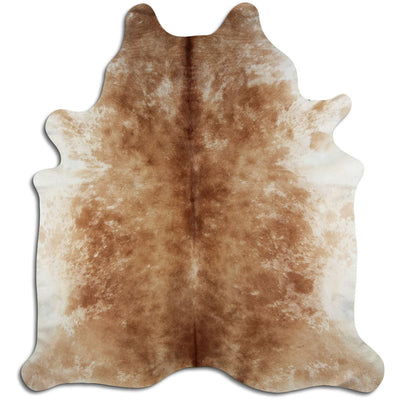Brun kohud XXL