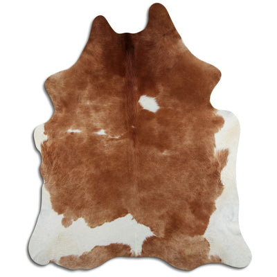 Brun kohud XXL