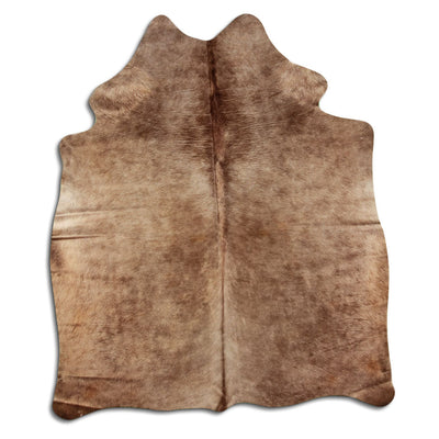 Champagefärgad kohud M