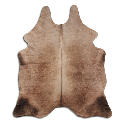 Champagefärgad kohud L