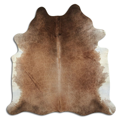 Champagefärgad kohud XL