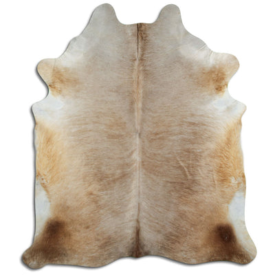 Champagefärgad kohud XL