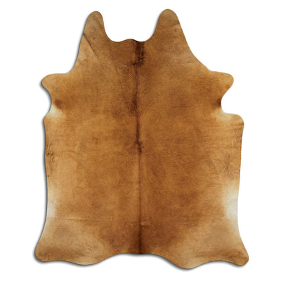 Brun kohud XL