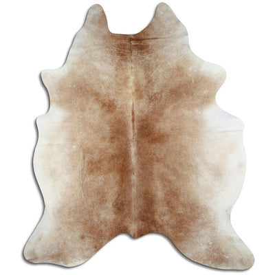 Brun kohud XXL