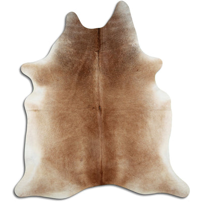 Brun kohud XXL
