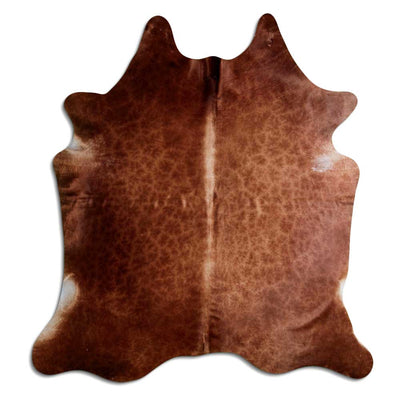 Brun kohud XL