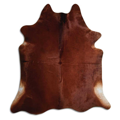 Brun kohud XXL