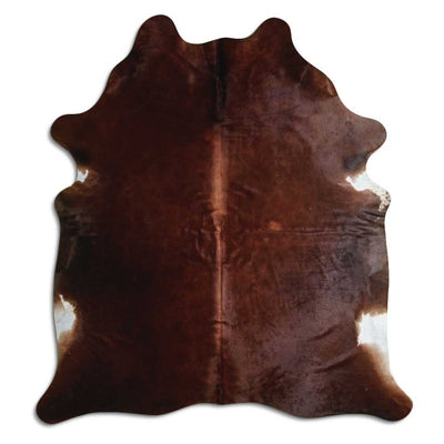 Brun kohud XL
