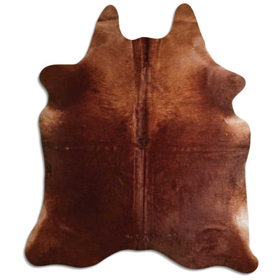 Brun kohud XL