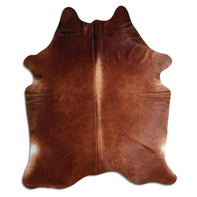 Brun kohud XXL