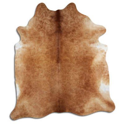 Brun kohud XL