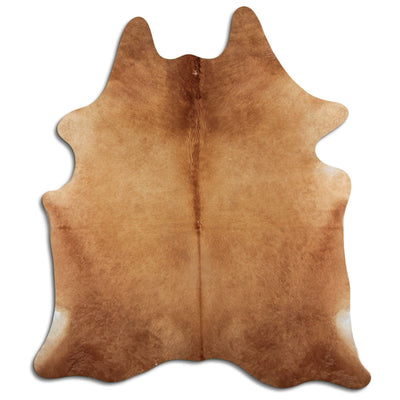 Brun kohud XL