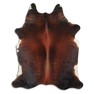 Brun kohud XL