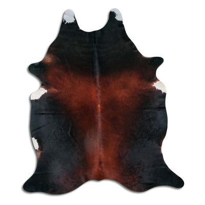 Brun kohud XXL