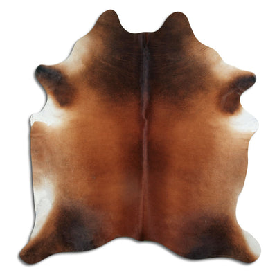 Brun kohud XL