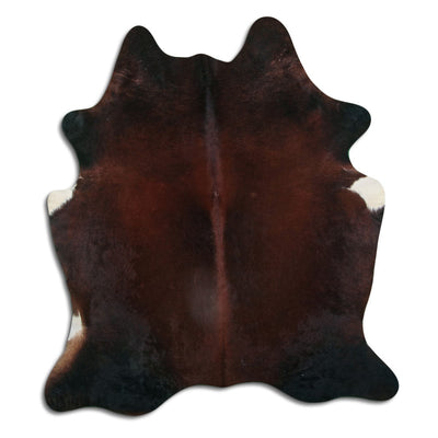Brun kohud XL