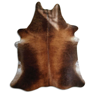 Brun kohud XL