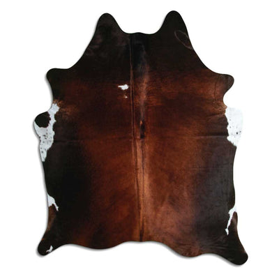 Brun kohud XL