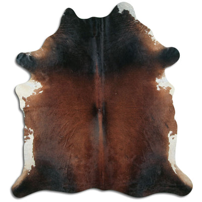 Brun kohud XL
