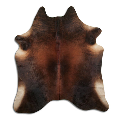 Brun kohud XL