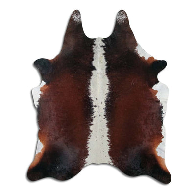Brun kohud XL