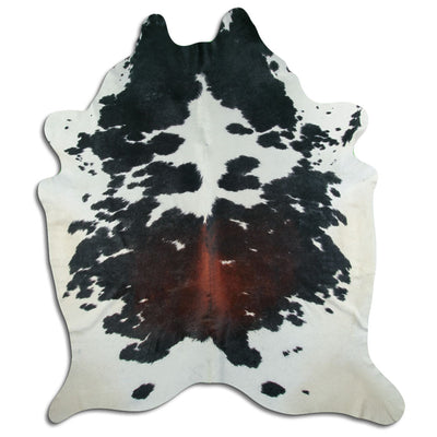 Trefärgad kohud XXL