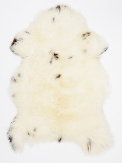 Įvairiaspalvis avikailis L