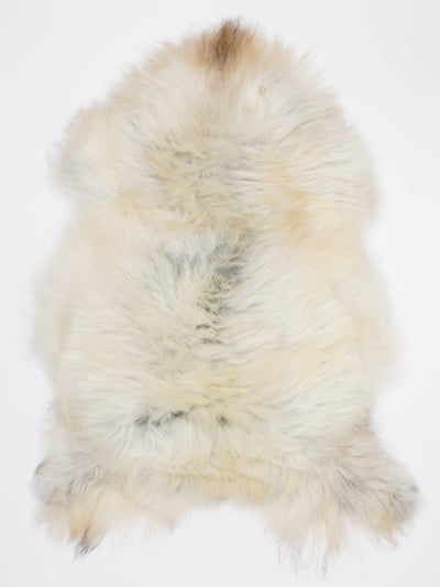 Islandiškas avikailis L