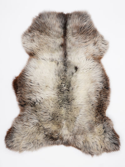 Flerfärgat fårskinn XL