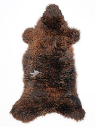 Įvairiaspalvis avikailis L