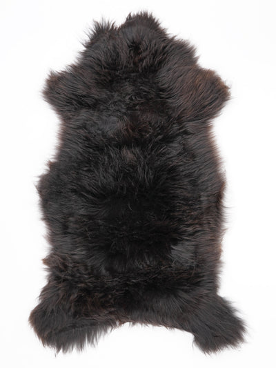 Įvairiaspalvis avikailis L