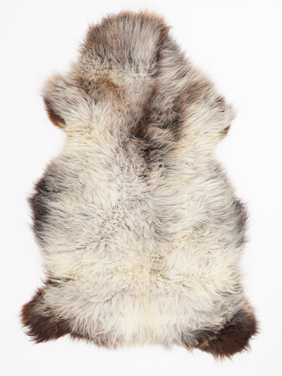 Flerfärgat fårskinn XL