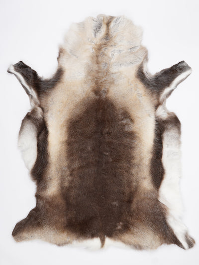 Renskinn XXXL