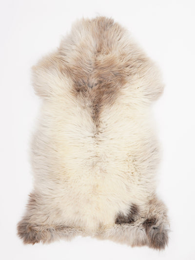 Flerfärgat fårskinn XL