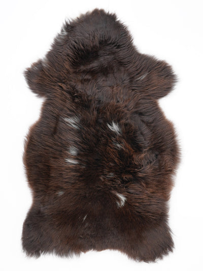 Įvairiaspalvis avikailis M