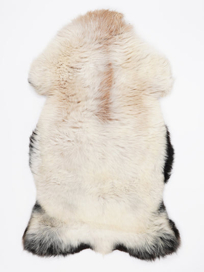 Flerfärgat fårskinn XL