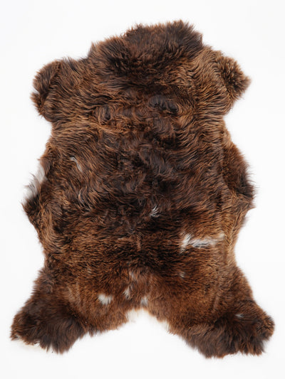 Įvairiaspalvis avikailis L