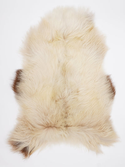 Islandiškas avikailis XL