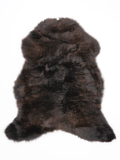 Įvairiaspalvis avikailis M