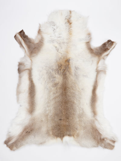 Renskinn XXL