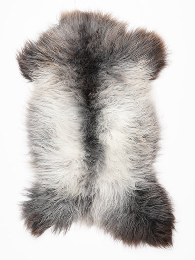 Flerfärgat fårskinn XL