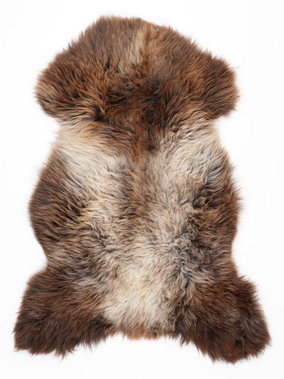 Flerfärgat fårskinn XL