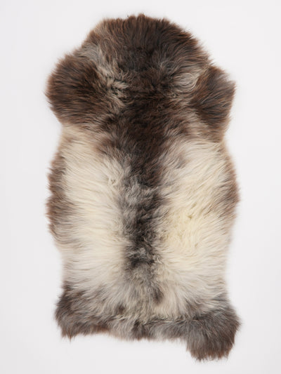 Flerfärgat fårskinn XL